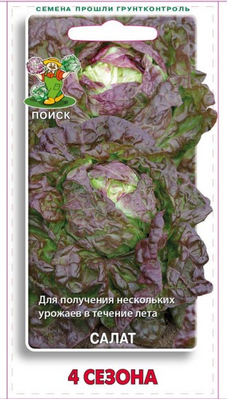 Салат кочанный 4 сезона