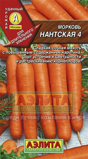 Морковь Нантская 4 Аэлита