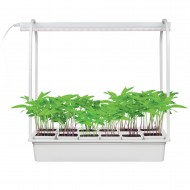 Набор UNIEL Минисад. Cветильник для растений светодиодный с подставкой. Спектр для фотосинтеза. 12 кашпо