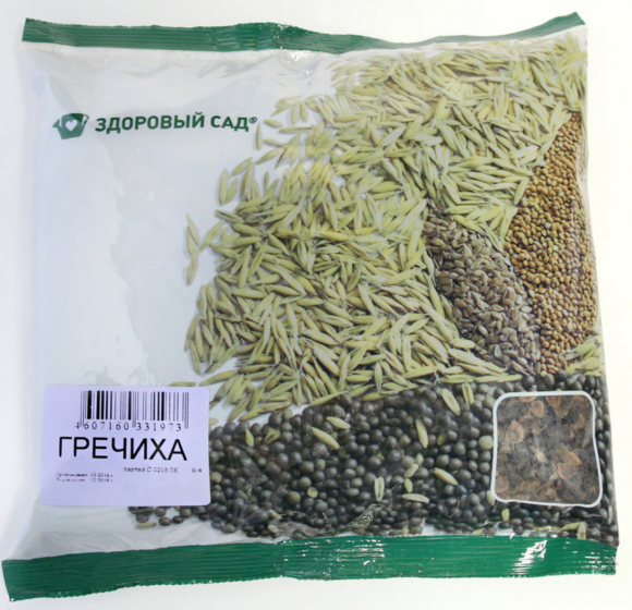 Семена гречихи