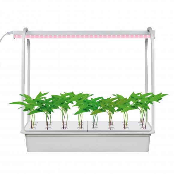 Набор для гидропоники Uniel Минисад Aqua Simple. Светильник для растений с подставкой без компрессора. 