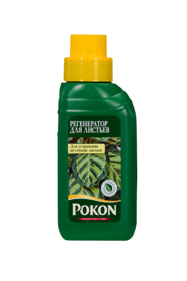 Жидкое удобрение Pokon для устранения желтизны листьев (250 мл)