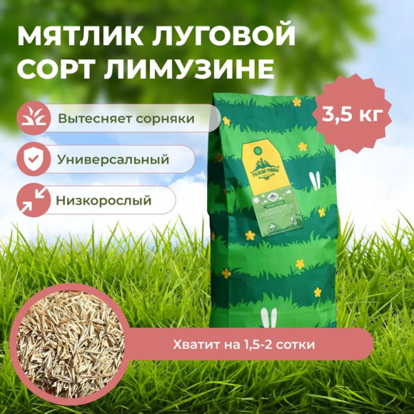 Мятлик луговой Лимузине (3,5 кг)