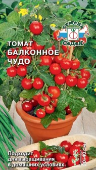 Томат Балконное чудо тип черри Томат Балконное чудо тип черри