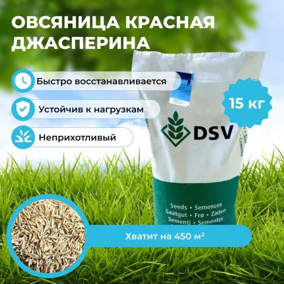 Овсяница красная красная Джасперина 15 кг 