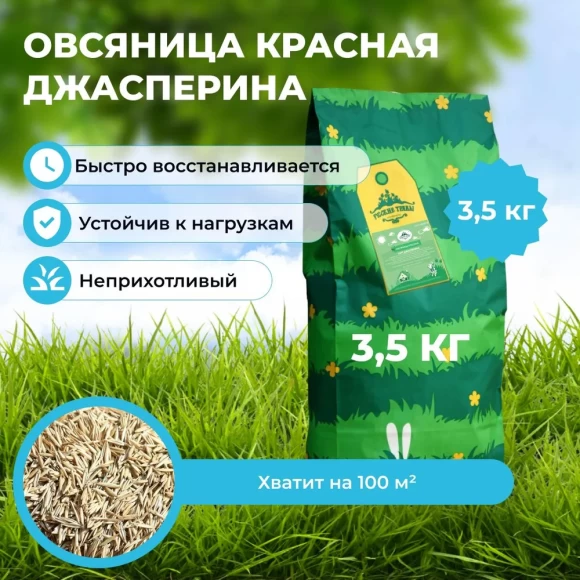 Овсяница красная красная Джасперина 3,5 кг 
