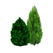 Россия Green Интернет Магазин В Москве Каталог