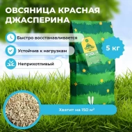 Овсяница красная красная Джасперина 5 кг Овсяница красная красная Джасперина 5 кг